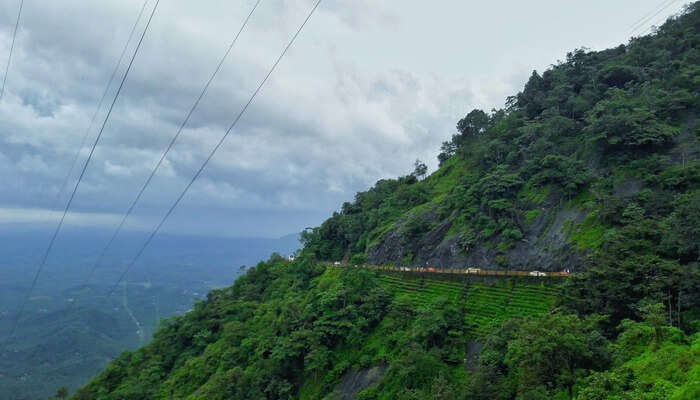 Neelimala View Point