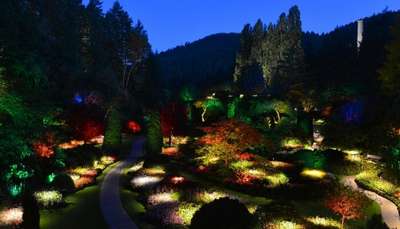 night lights in a garden