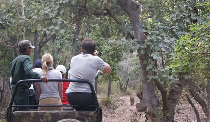 Jeep Safari on the hills