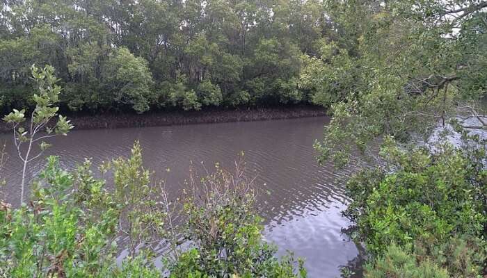 With clear headwaters, Norman Creek Rive