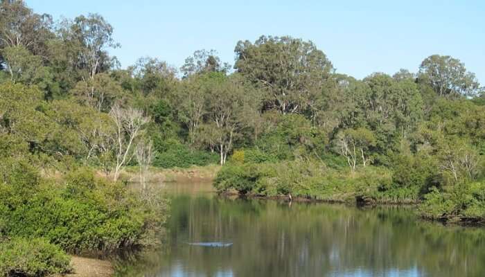 relatively smaller river