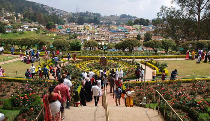 Rose Garden in Ooty