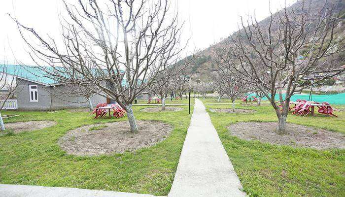 Orchard Resorts Kullu