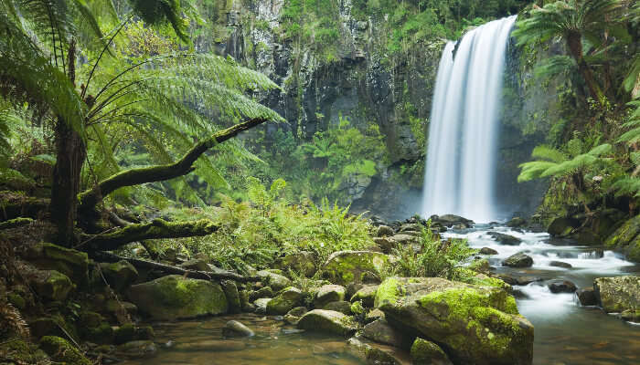 Forest Park in Melbourne