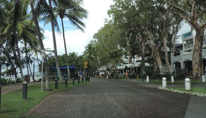 Palm Cove