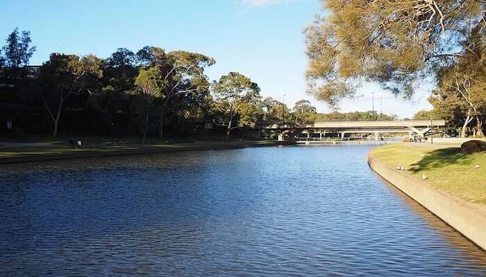 Parramatta River