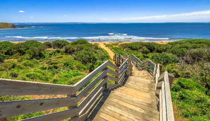 Phillip-Island in Victoriaa