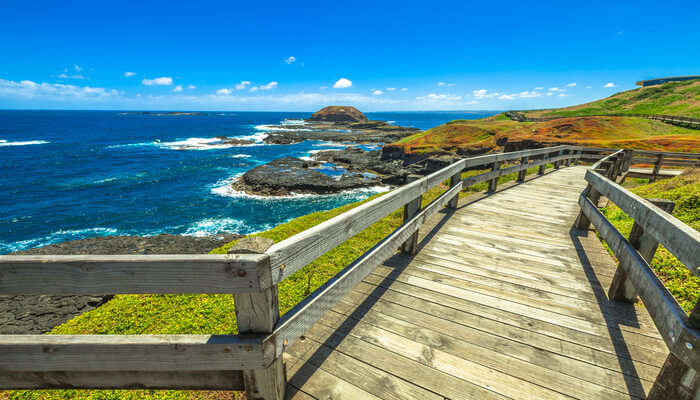 Phillip Island