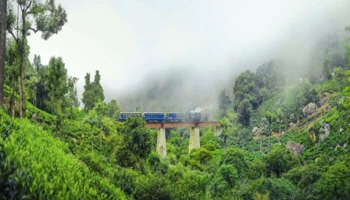 A spectacular view of running train surrounded by lush greenery