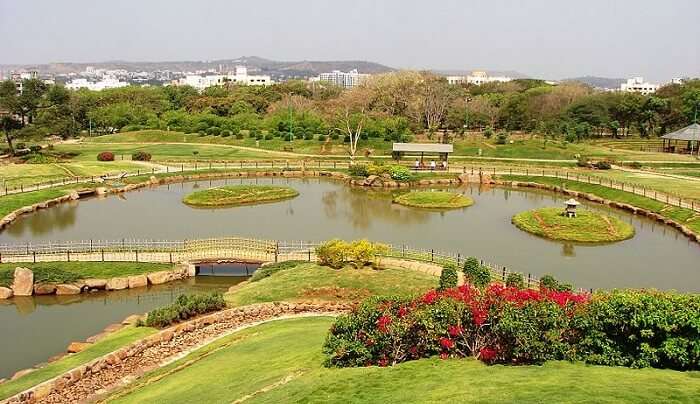 garden view