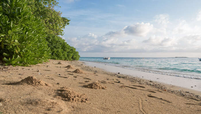 Rasdhoo Island