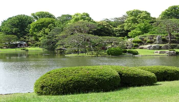 Rikugien Garden in Tokyo