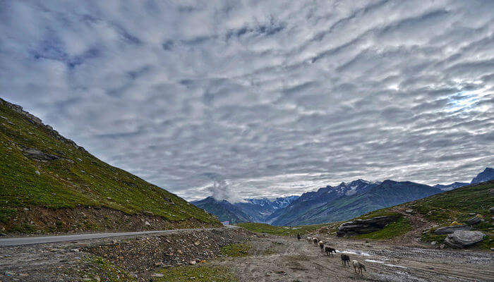 Rohtang Pass gives you beautiful view