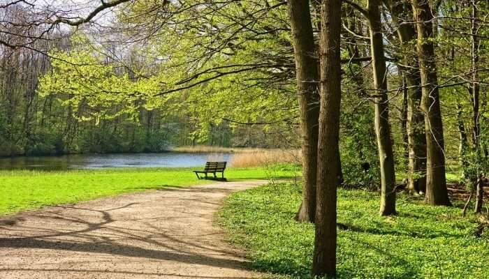 ryemood park so peaceful