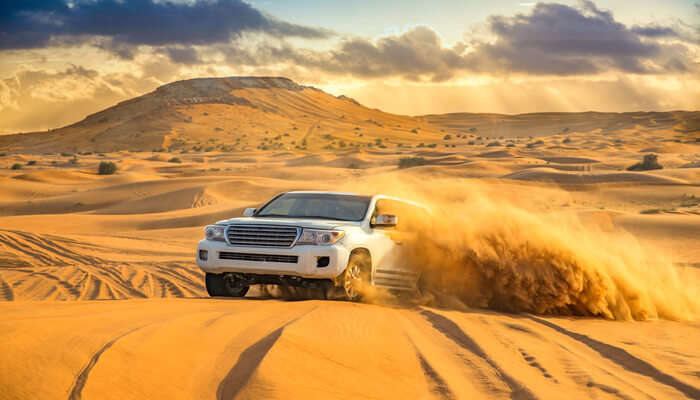 Sahara Safari In A Jeep