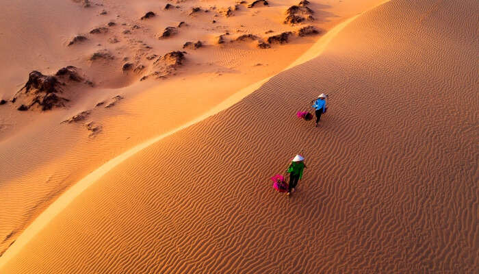 Sand Dunes Of Mui Ne