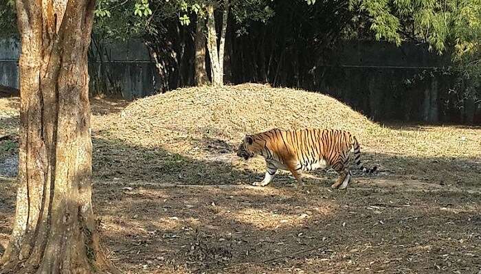 Sepahijala Wildlife Sanctuary