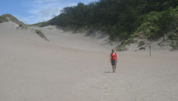 sand dunes