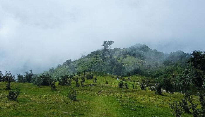 Singalila National Park