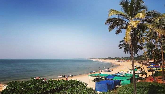 A splendid panorama of sinquerim beach