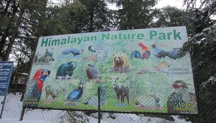 The Himalayan Nature Park, Kufri