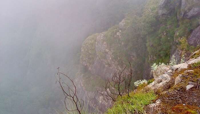 Suicide Point kodaikanal