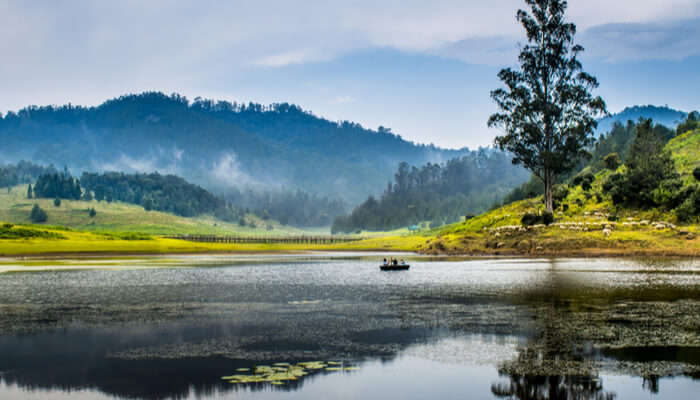 Kodaikanal is among the best honeymoon places to visit in India in summer