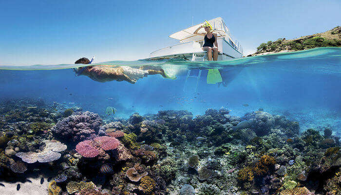 Swimming In The Great Barrier Reef