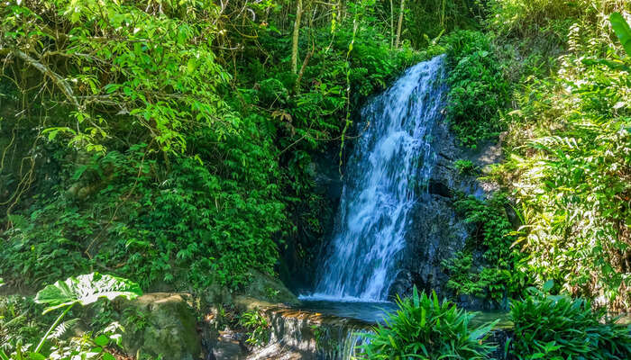 Tai Mo Shan Waterfalls