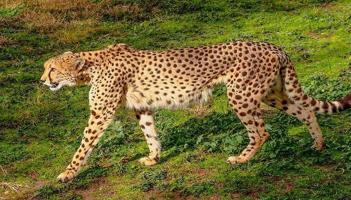 Taronga Western Plains Zoo