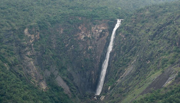 Thalaiyar Falls kodaikanal