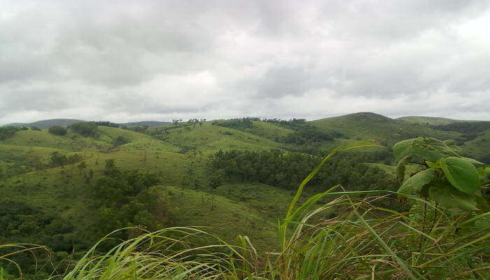 Amazing view of Thangalpara