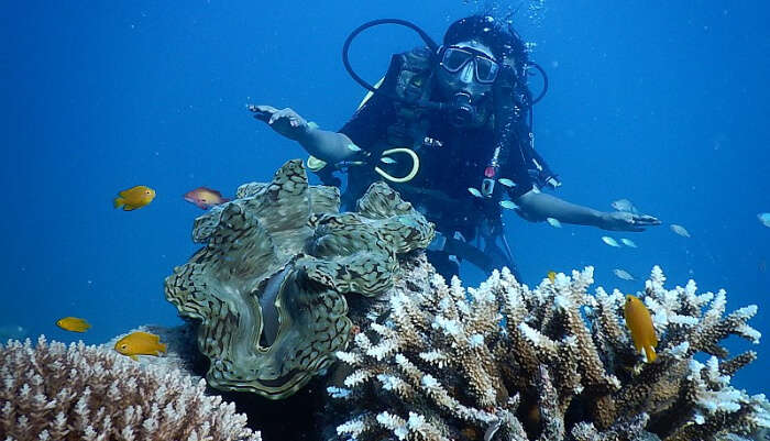 Marine Sanctuary in Victoria