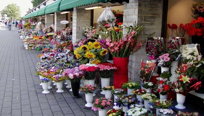 Uplift Your Mood At Flower Market