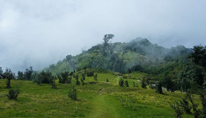 What To See On The Trek