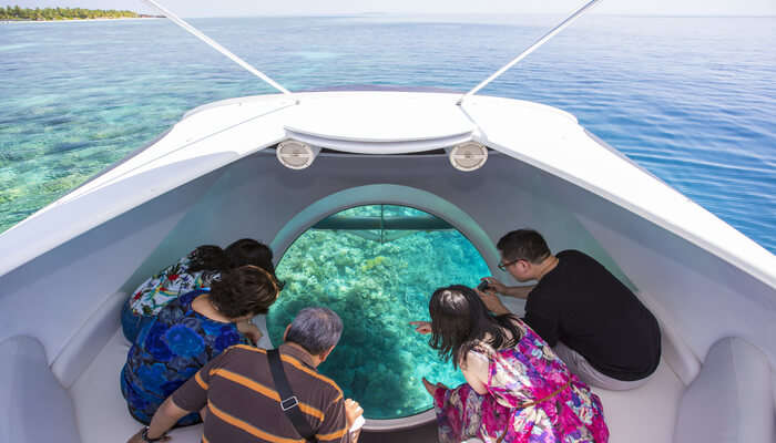 View The Coral Reef Through A Glass Bottomed Boat