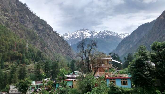 kasol