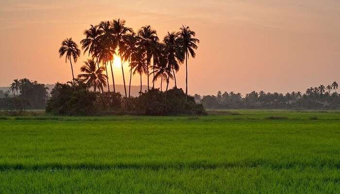 Villages In India