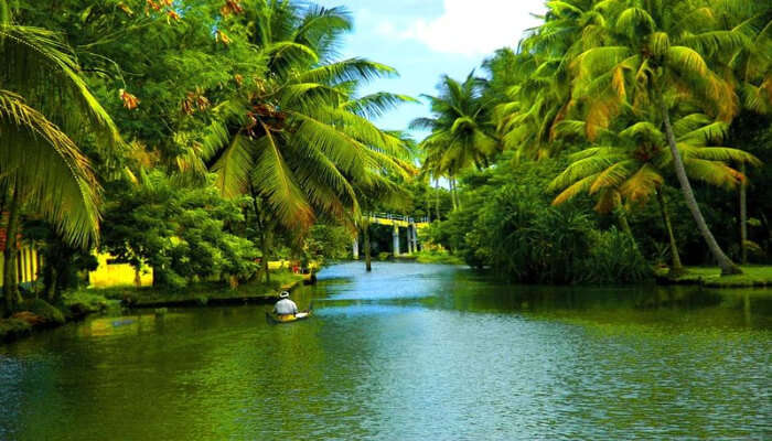 back water kerala