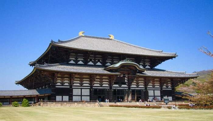 Visit The Temples Of Nara