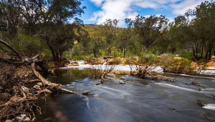 Walyunga National Park