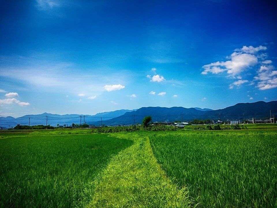 Weather In Japan In July