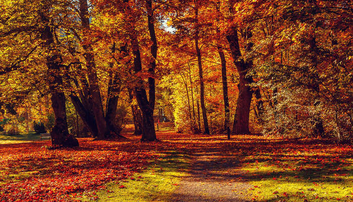 Weather In October in Europe