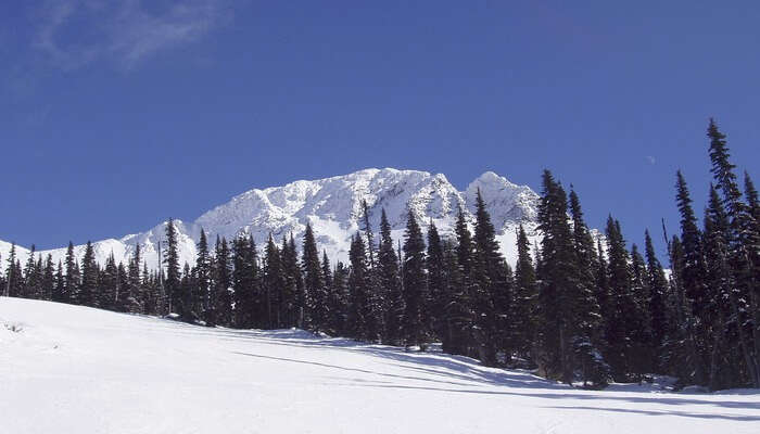 Whistler canada