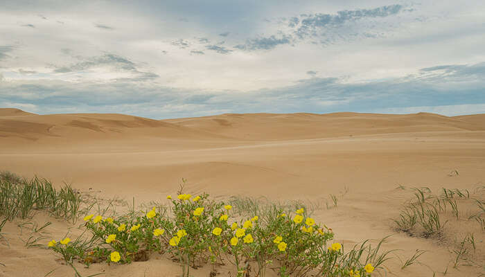 Worimi Conservation Lands