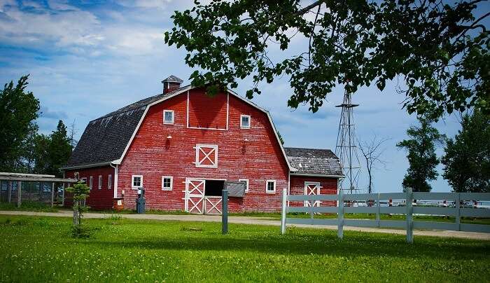 apple barn