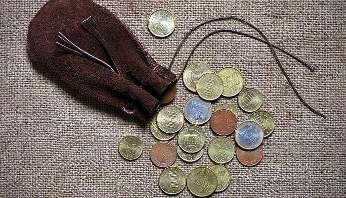 coins in pouch