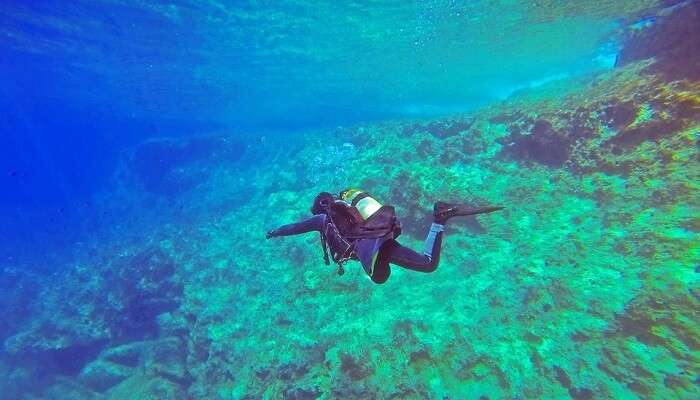 cover - scuba diving