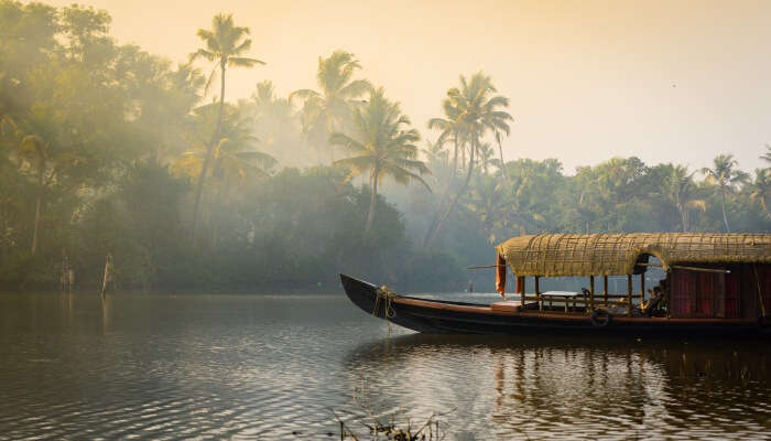 things to do in kerala in may