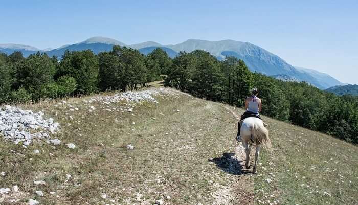 horse riding